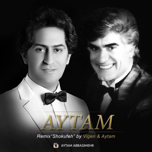 Shokufe (Remix) Aytam