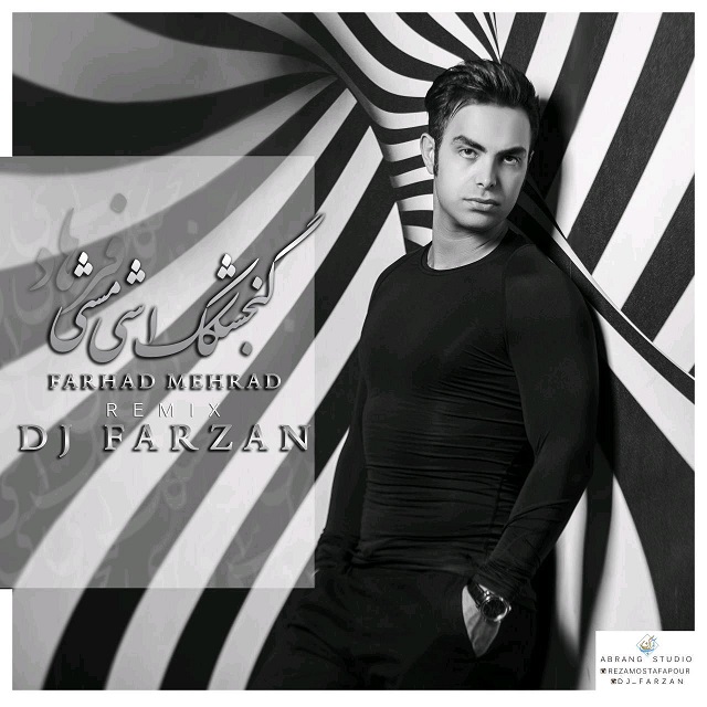 DJ Farzan Gonjeshkake Ashimashi (Remix)