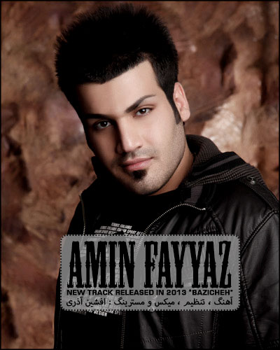 Amin Fayyaz Bazicheh